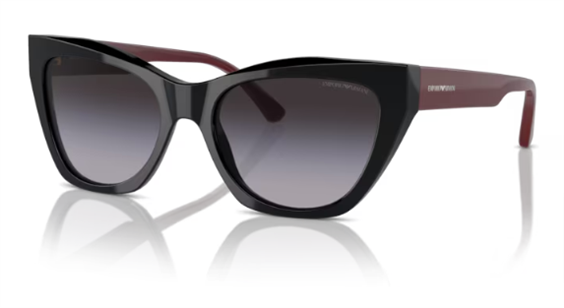 Nicora Gioielli Occhiali da sole Donna Emporio Armani