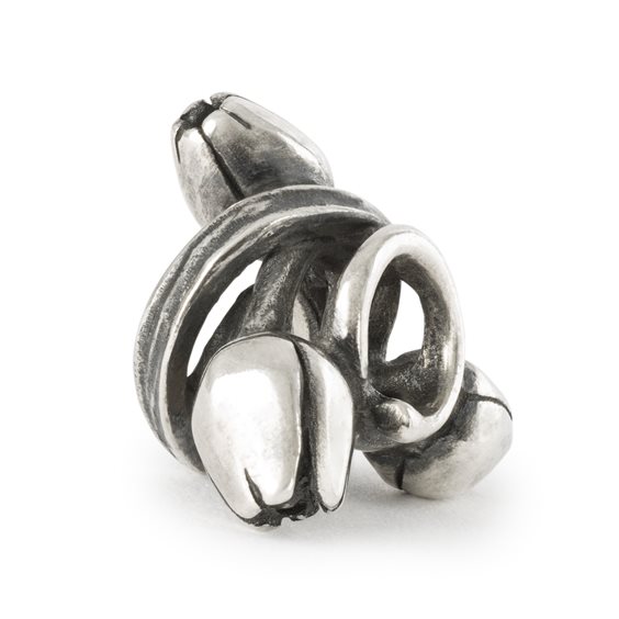 Trollbeads Damen-Charm 925 Silber-TAGPE-00061