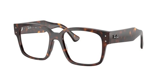 Ray Ban Brillengestelle