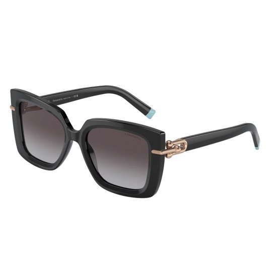 Oiritaly Sunglasses Woman Tiffany 0TF419980013C53 - Main Image