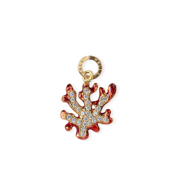 Charm - Donna - Rosato - RDE025 - Details - Argento